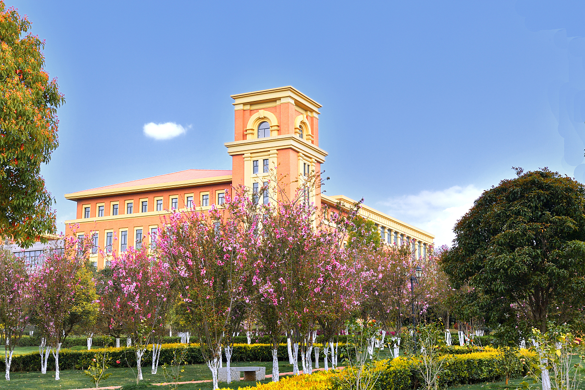 ***_***2018年3月13日,云南昆明,云南大学呈贡校区,正是正是樱花烂漫