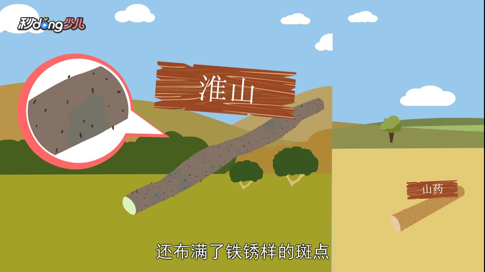 「秒懂少儿」山药和淮山的区别?