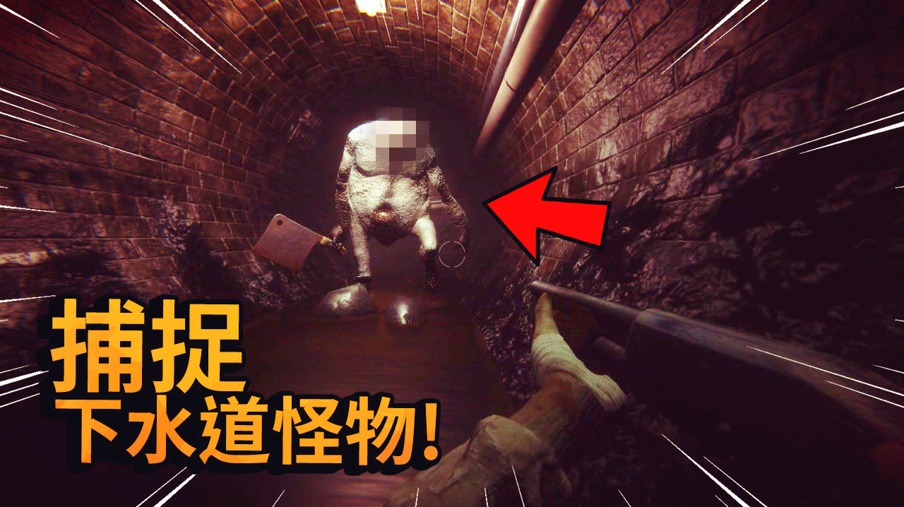 捕捉下水道怪物:下水道里出现了怪物,快抓住它们,肉一定很好吃