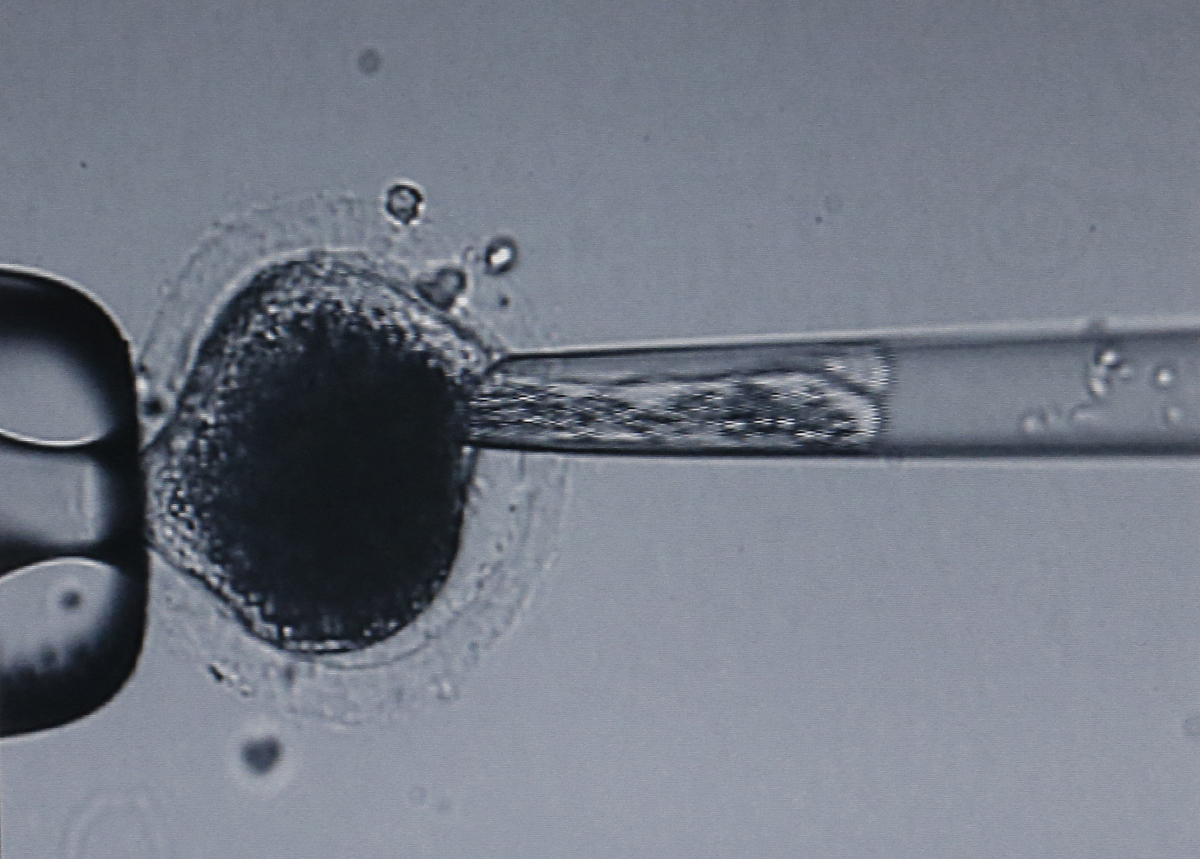 论文框架跨学科