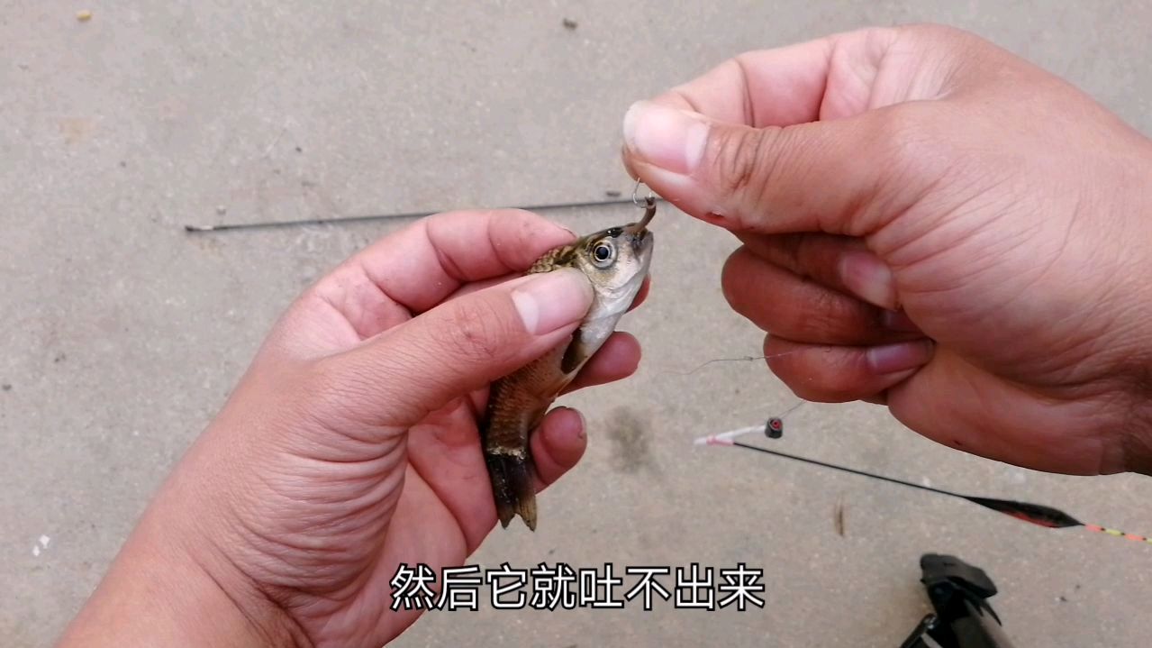 冬季学会这样挂蚯蚓钓鱼,简单快捷方便,鱼儿只要吃了就别想跑