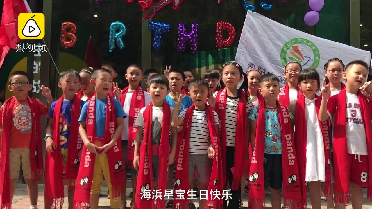 冰块蛋糕,竹笋蜡烛!2只海归大熊猫过生日,享受20斤5层蛋糕