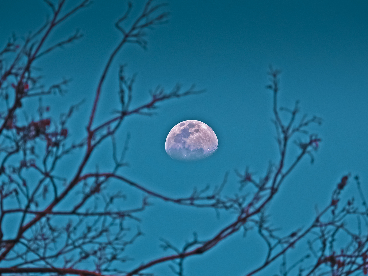 写一篇关于月亮的古诗