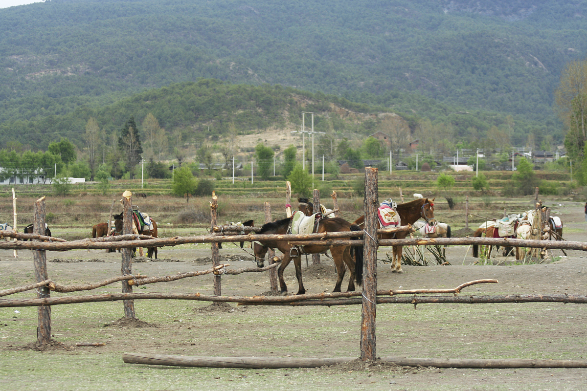 云南2022年读卫校要分数吗
