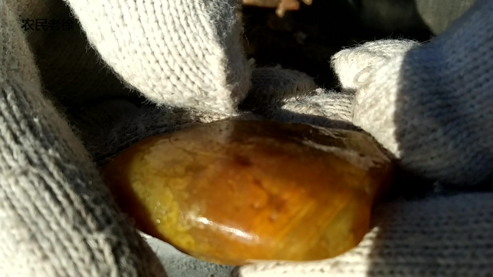 大叔挖出奇特的石头,表面纹路,像鱼子一样