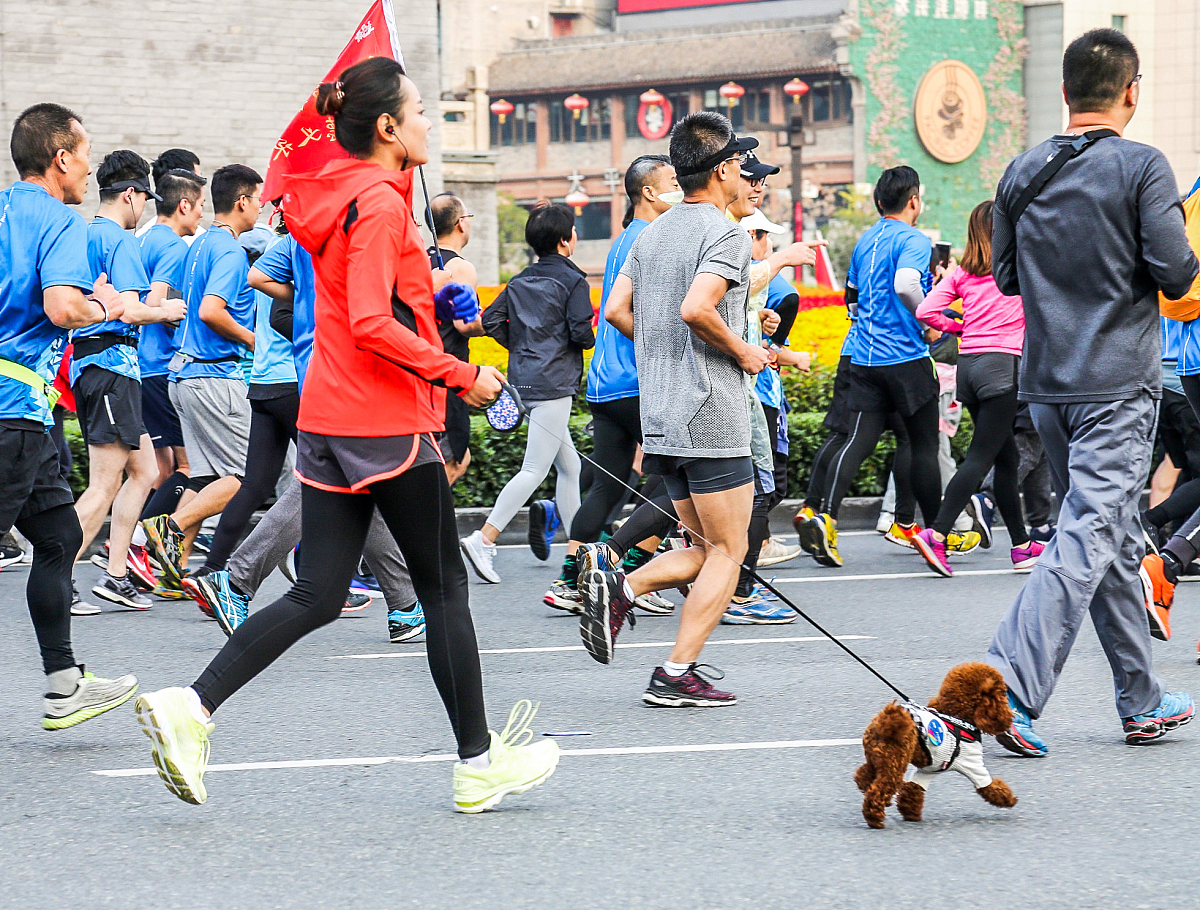 成都高铁学校创建未来信息时代校园