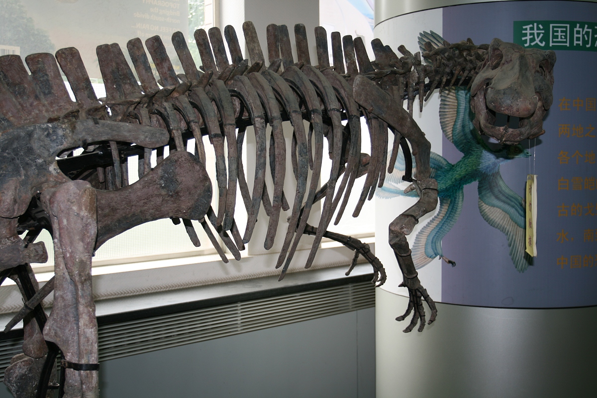 新疆9#钻井地层极值分析及应用