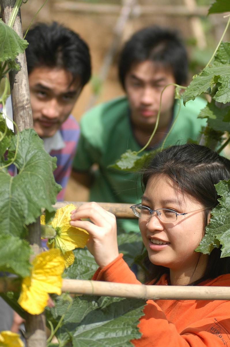 广东初中毕业生成绩不好怎么办？如何帮助他们提高成绩？