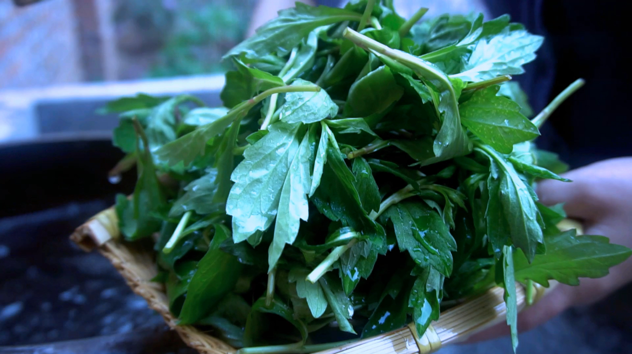 山野嫩蔬、时令美味,一道春日野菜-凉拌鱼鳅串,开胃下饭又好吃
