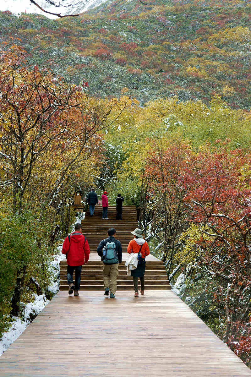 2011年10月4日,四川阿坝州,黄龙秋色.***_***拍摄时间:2011/10/04  图