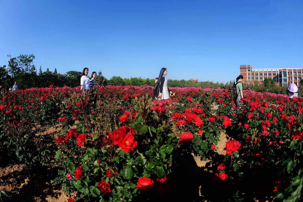 大学生优良中评价参考：如何写出更有效的意见内容