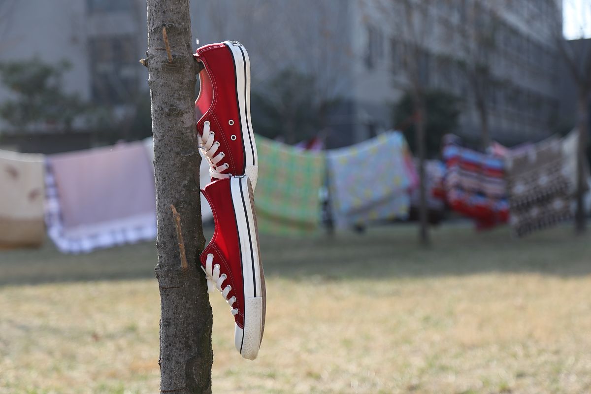 河南农业职业学院旅游英语专业好不好？就业前景怎么样？