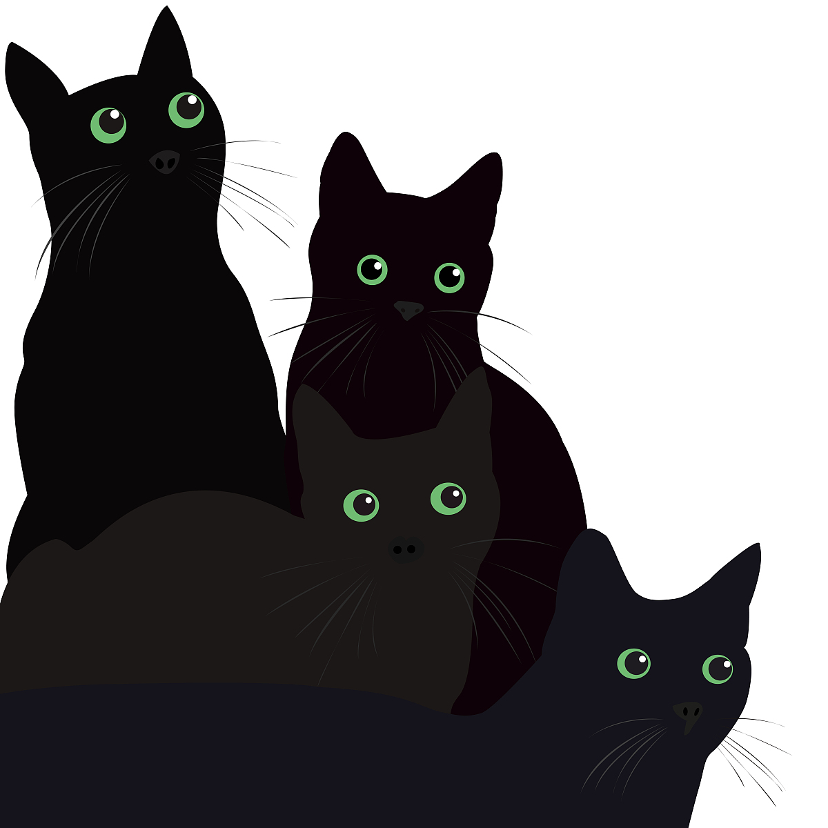 少年同盟中像钱与兄弟眼睛的猫是什么颜色？