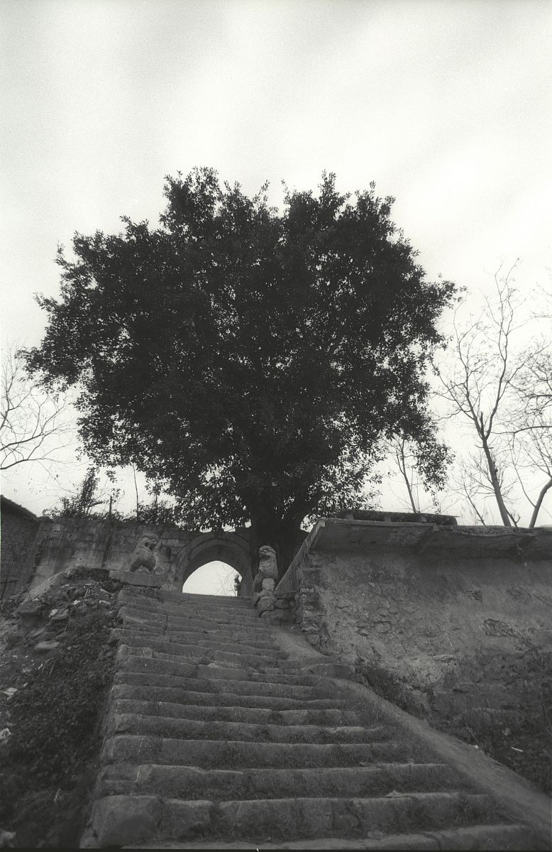 重庆巫山职业教育中心汽车运用与维修专业教学质量分析