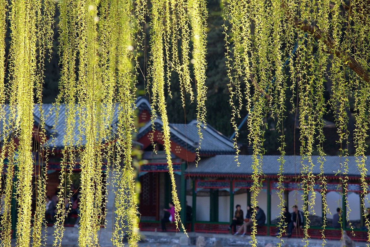 ***_***2011年04月03日, 北京,谐趣园位于颐和园的东北角,由于它小巧