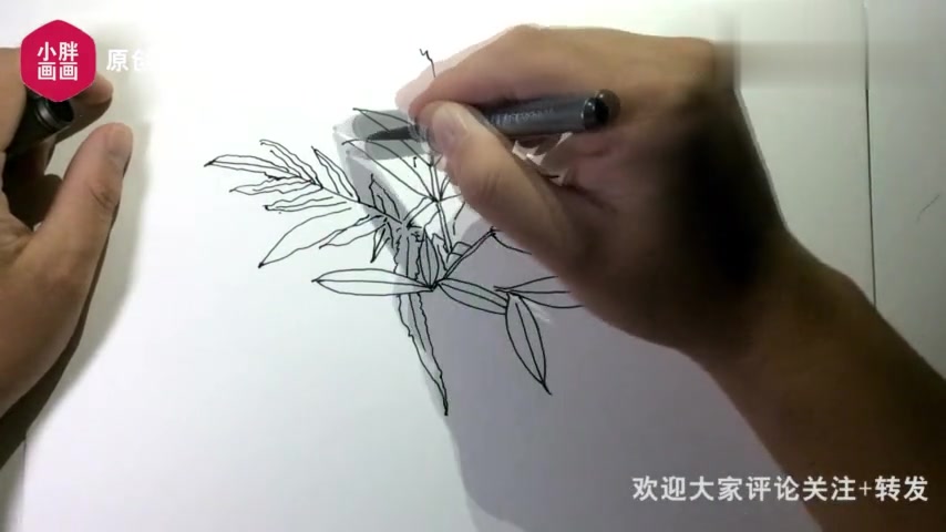 钢笔画速写,一丛杂草写生!