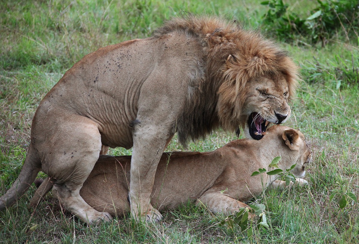 重庆初中生想读幼师学校？这几点帮你选对学校！