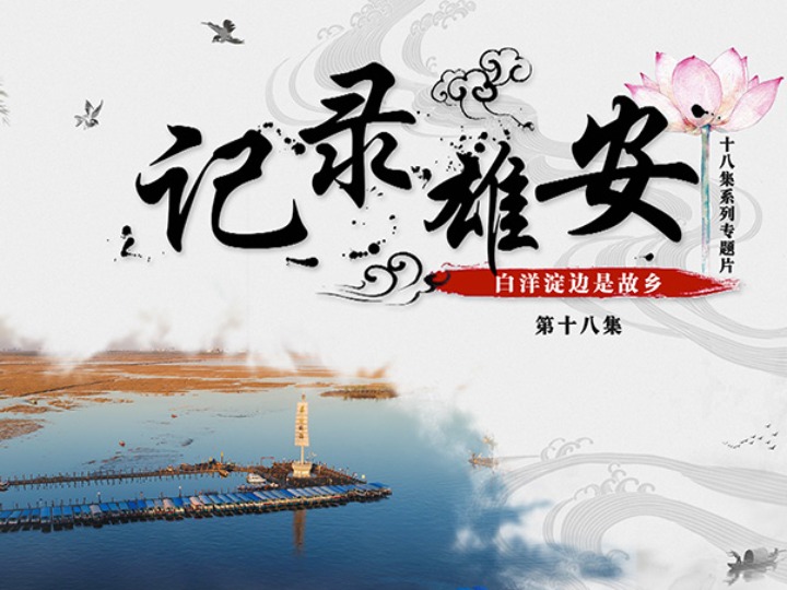 《记录雄安》第十八集:白洋淀边是故乡