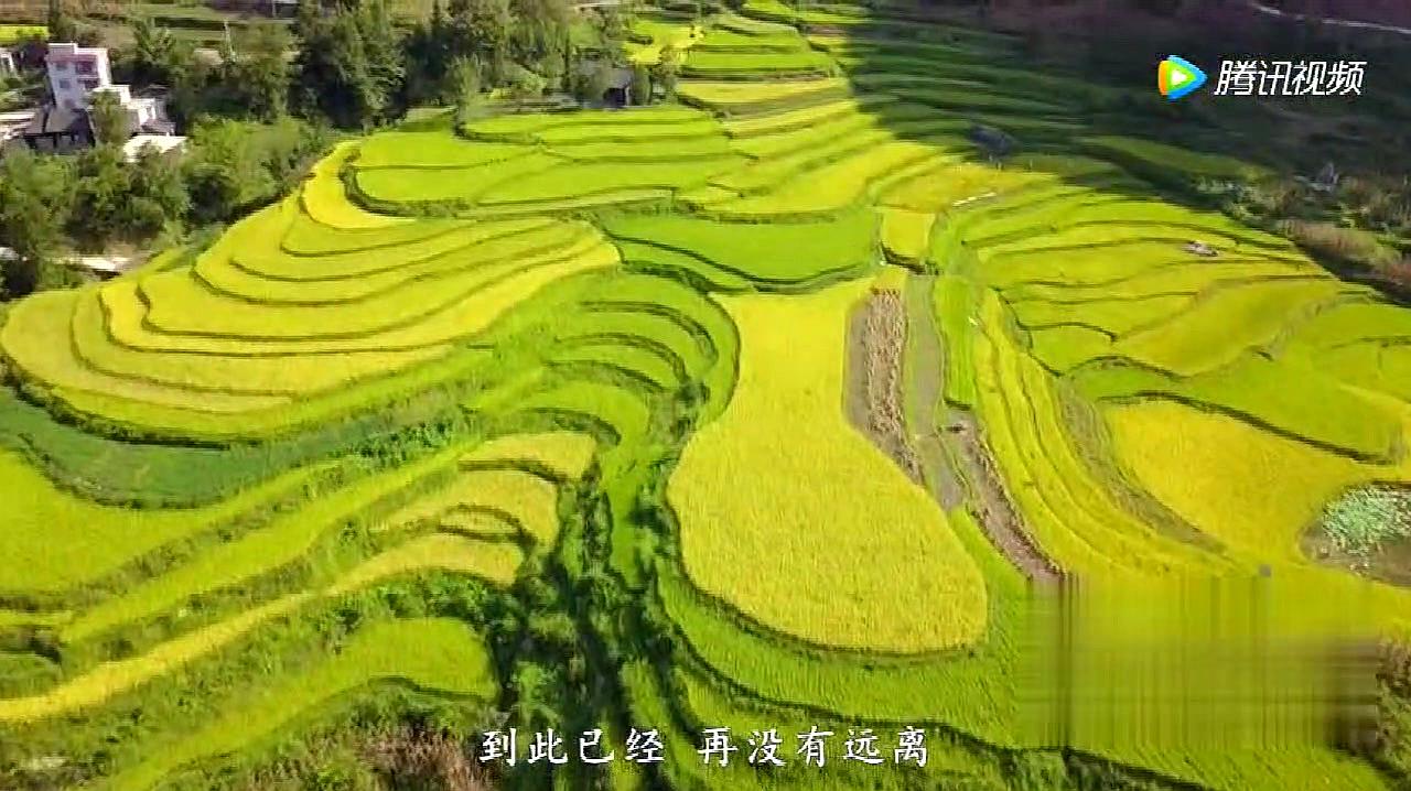 [图]贵州“神曲”《山水贵客》:贵山贵水,留天下贵客!越听越好听