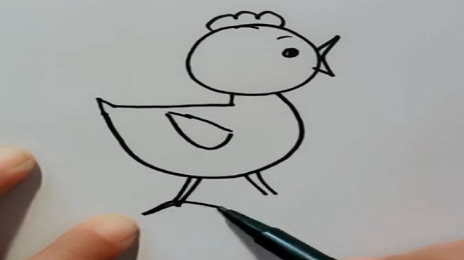 简笔画——简单画小鸡!