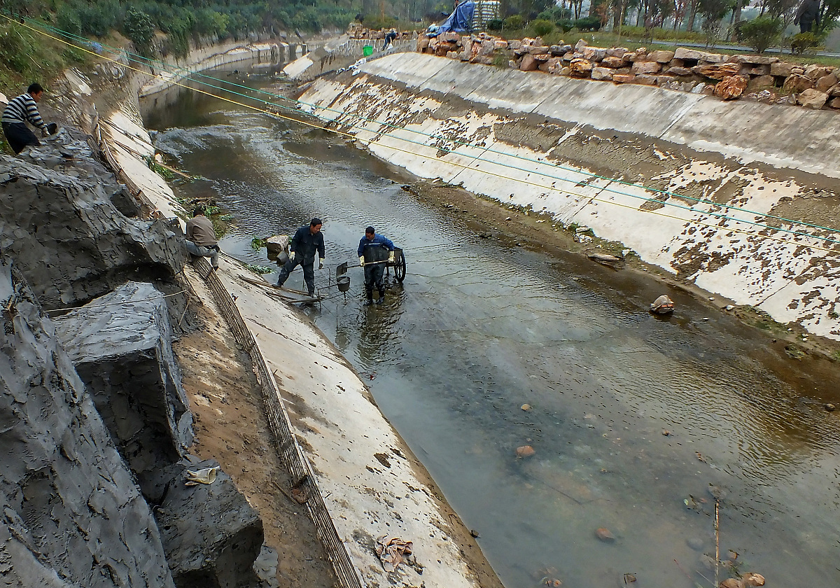 随着我国南方地区部分江河水主要功能的退化大坝将被拆除。当河流生态系统稳定之后与拆坝前相比将会出现的变化有