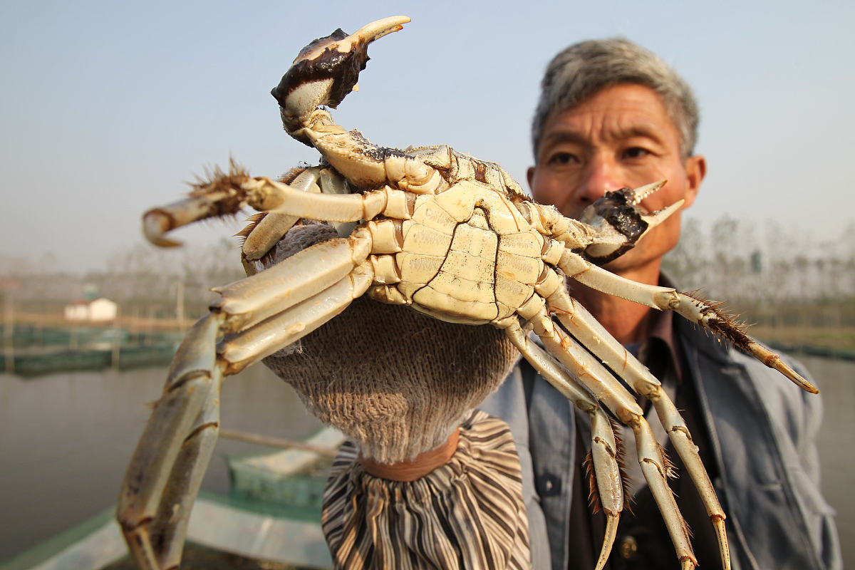 威海市水产学校招生专业介绍：水产养殖专业详解