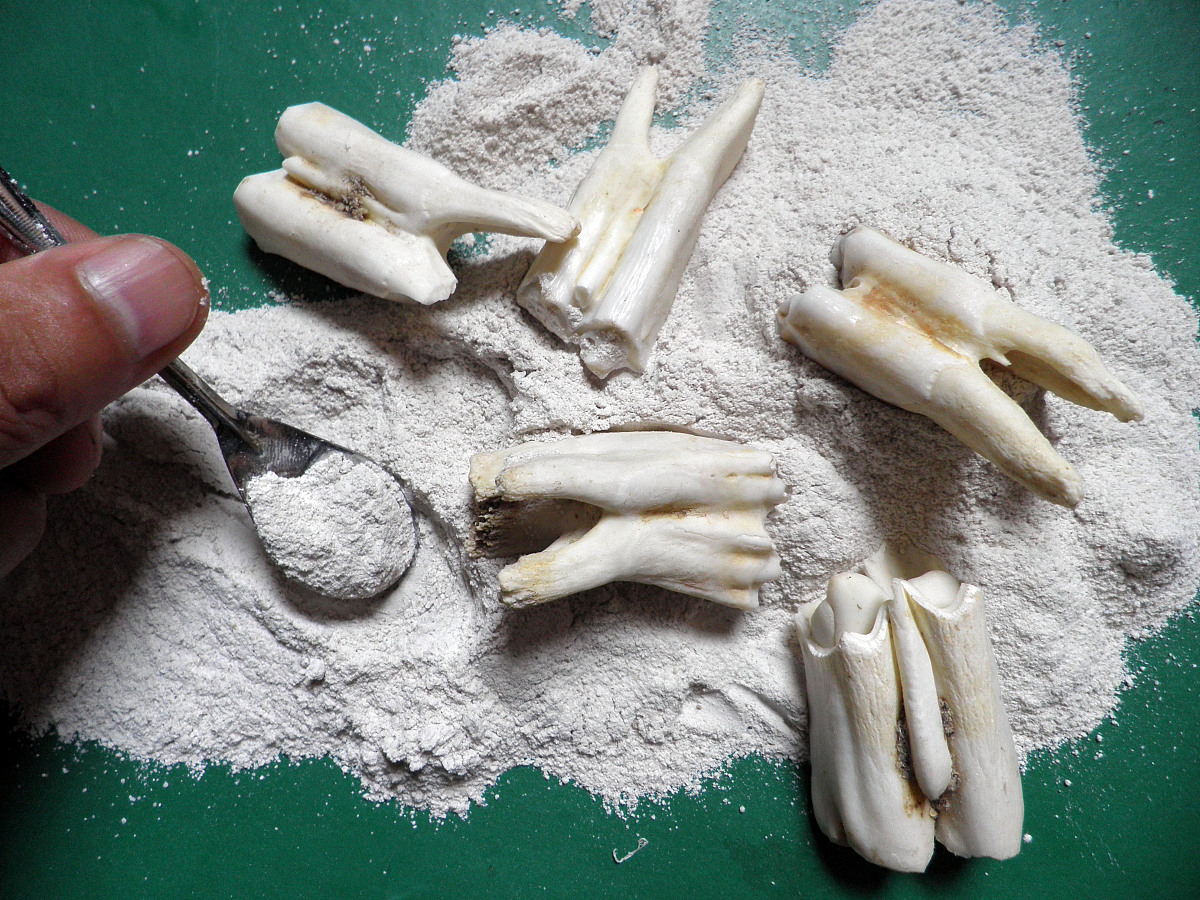 四川中医药高等专科学校2019年招生专业：中医学、针灸推拿学、中药学等