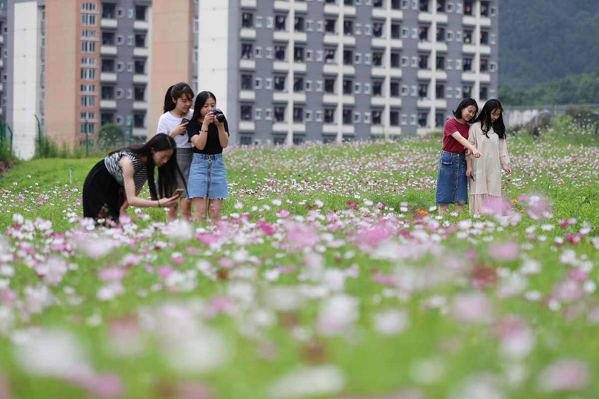 2020年重庆电信职业学院财务管理专业招生 - 报名条件、就业前景、专业介绍