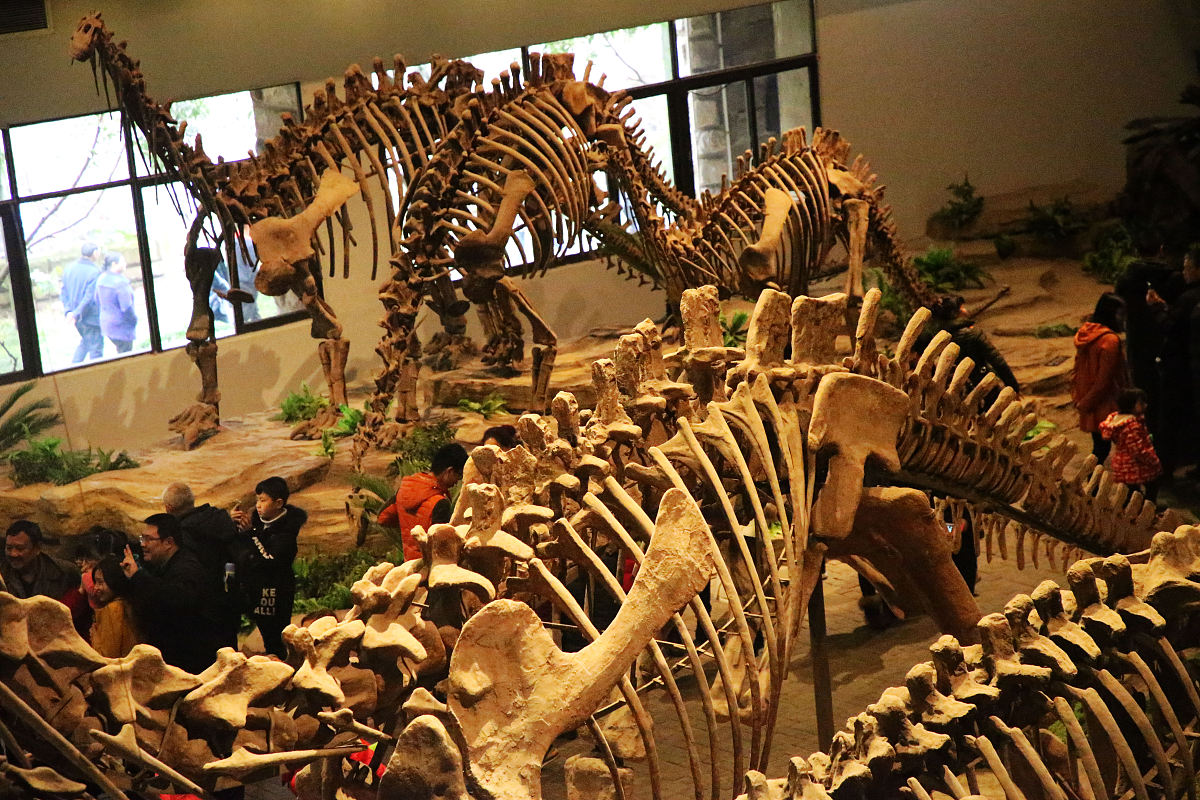 四川自贡市电力施工总承包二级转让：承接公司推荐及注意事项