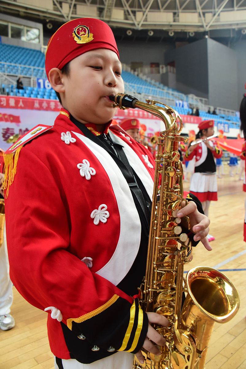 1200字少先队入团申请书范文 - 申请书模板