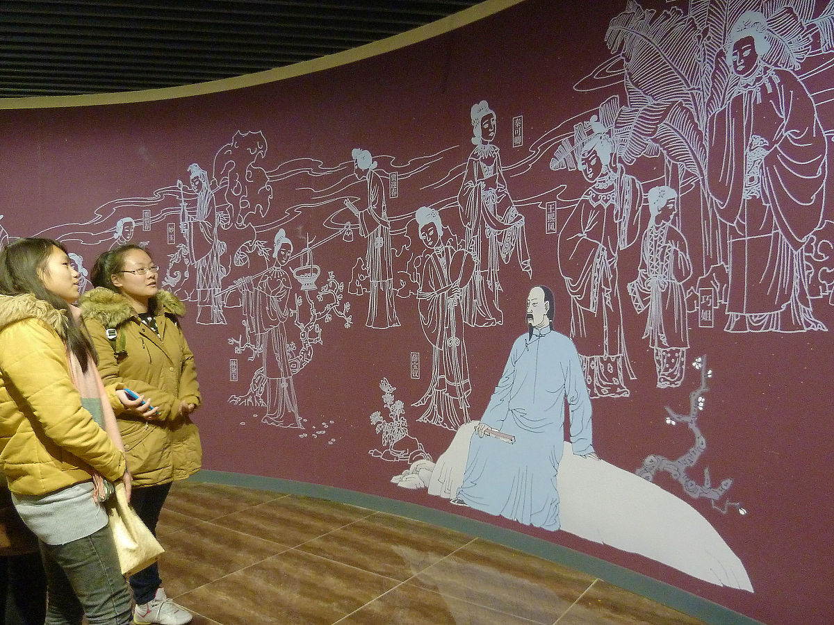 写一篇红楼梦的综述