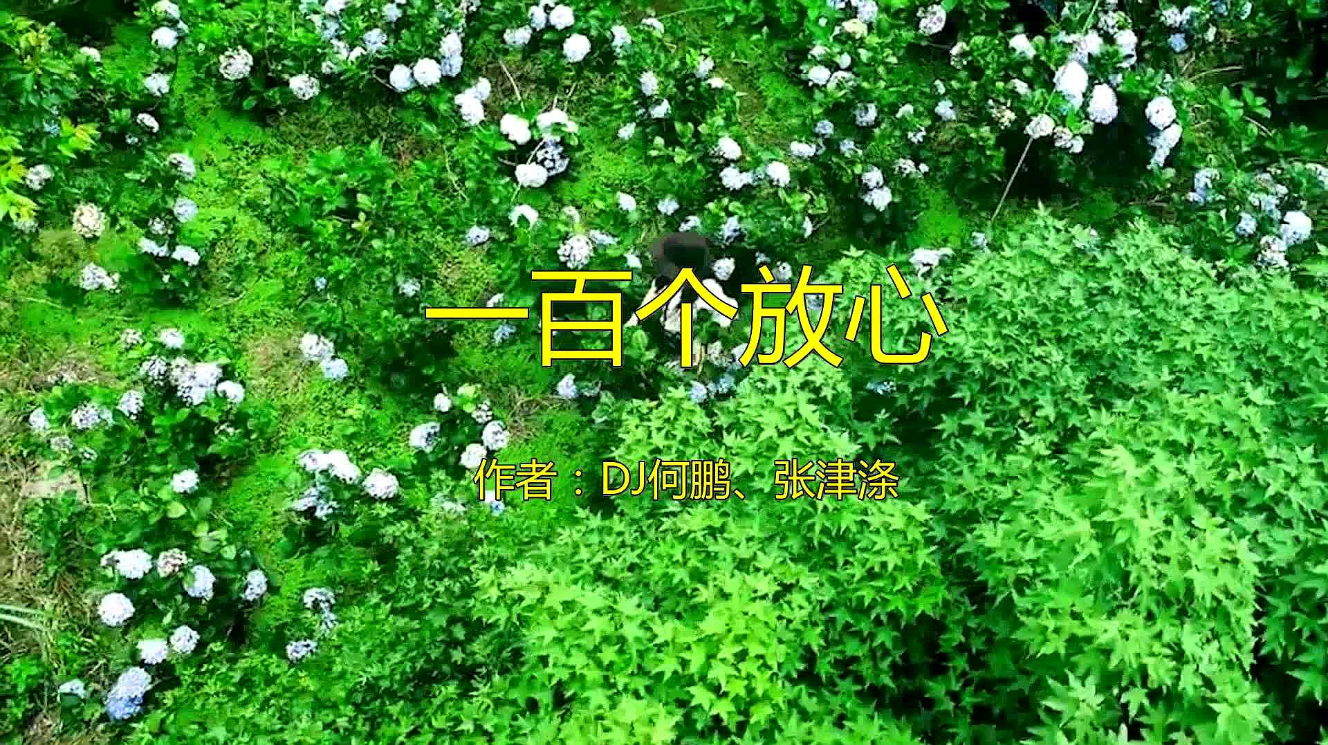 [图]张津涤的一首DJ版《一百个放心》,句句走心,沁人心扉