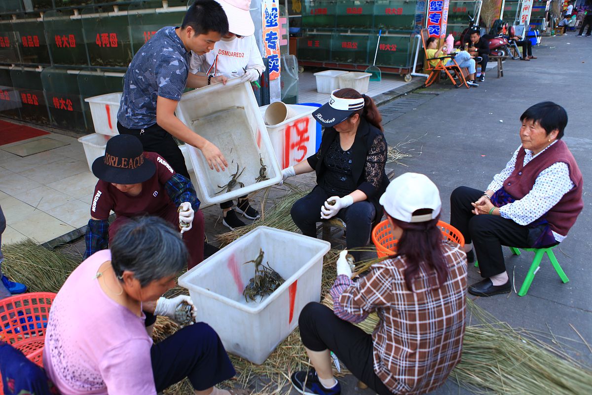 2019年9月24日,江苏常州凌家塘批发市场,螃蟹进入销售旺季,扎一只螃蟹