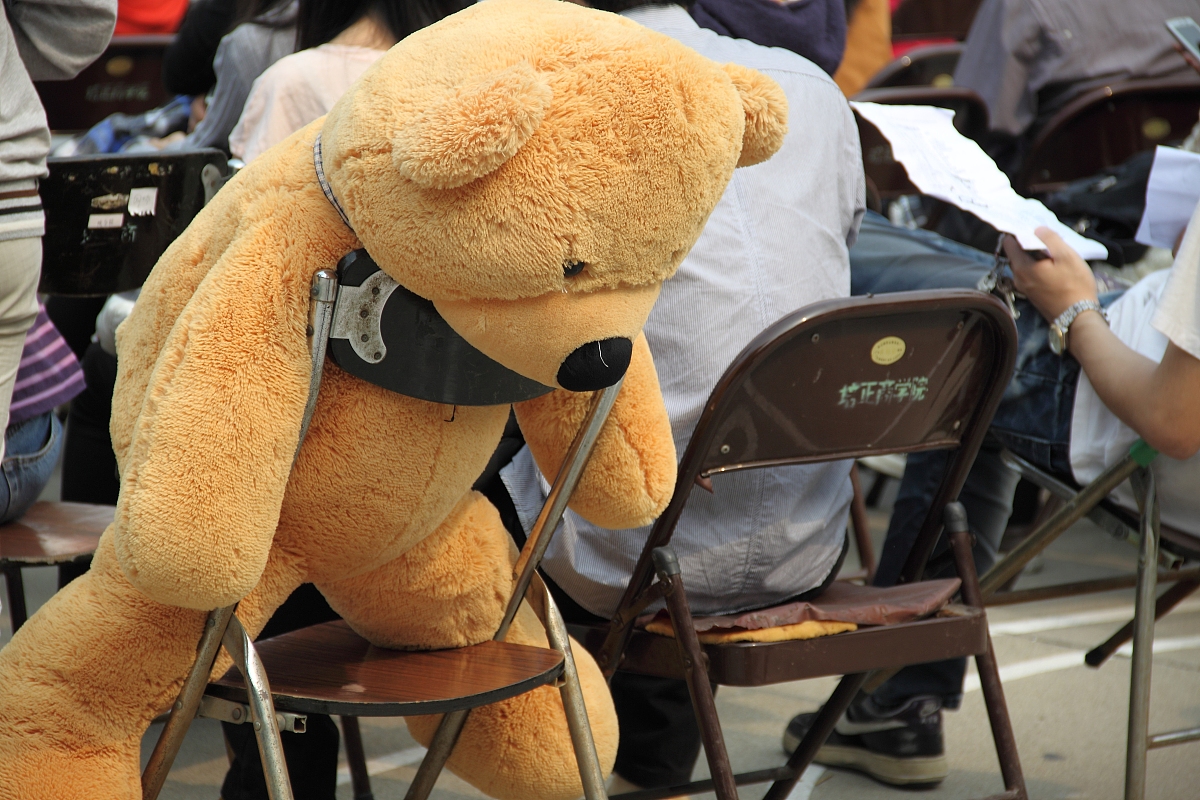 甘肃计算机网络应用专业大学推荐