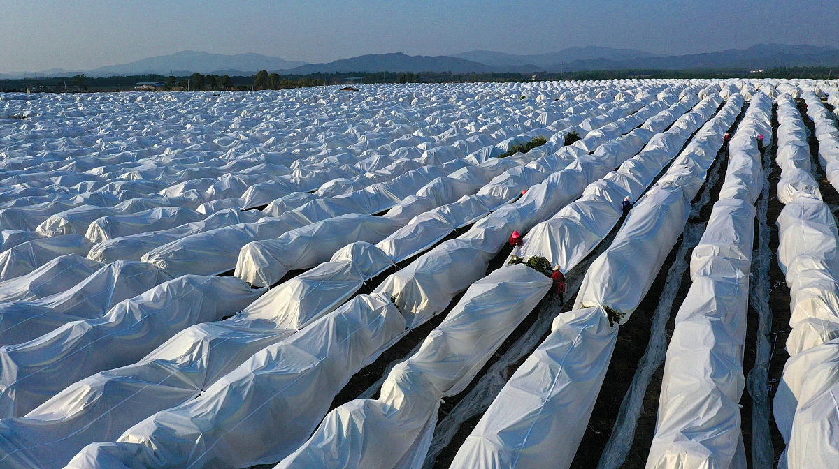 江西科技职业学院计算机信息管理专业怎么样