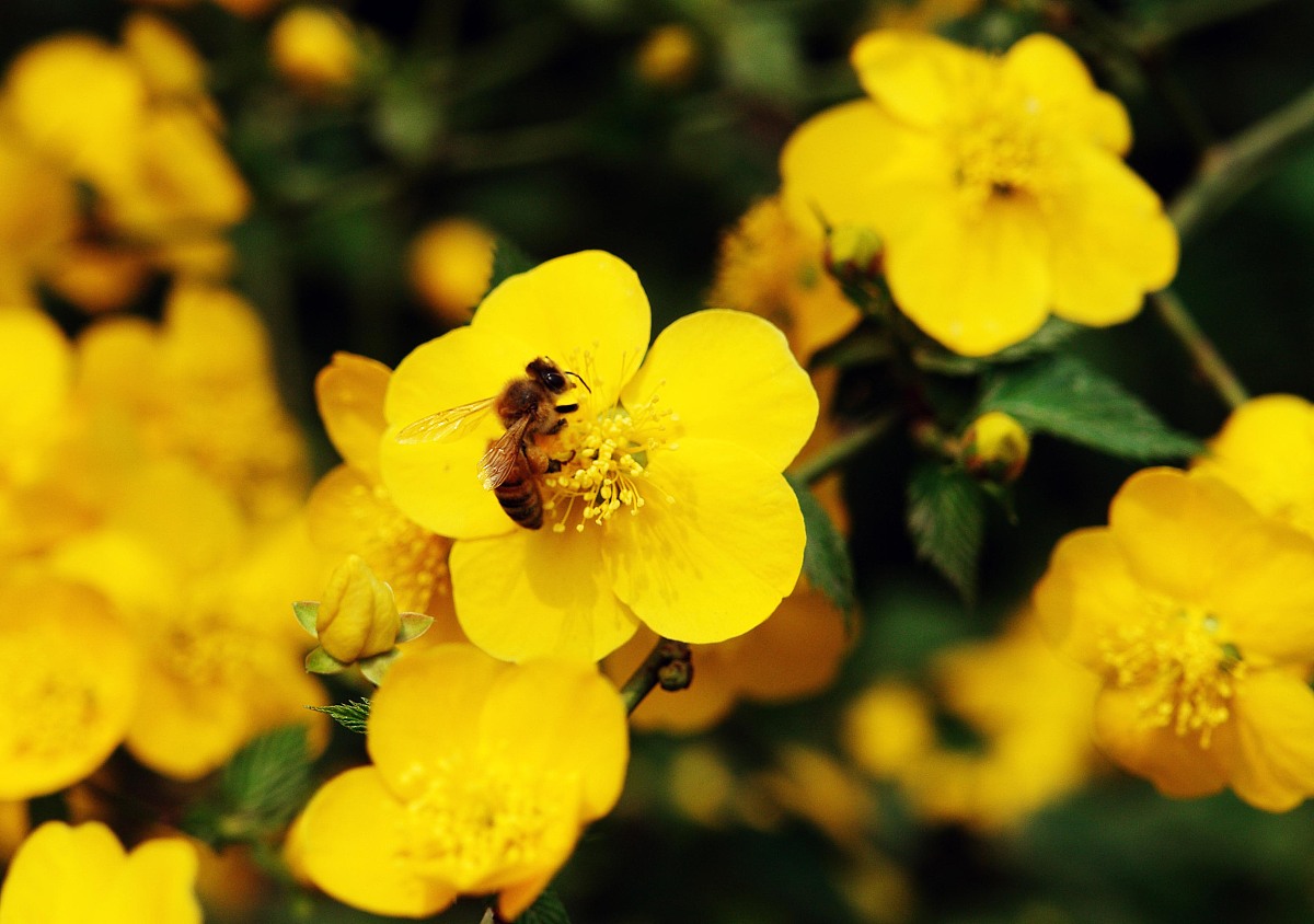 10个大气顺口的床垫品牌英文名，助您一夜好眠