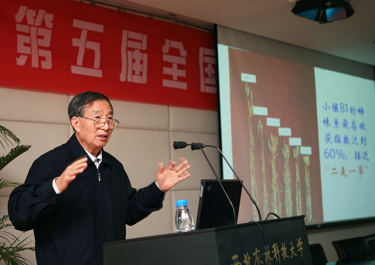 应届毕业生自我鉴定：学术精进，实践丰富，潜力无限