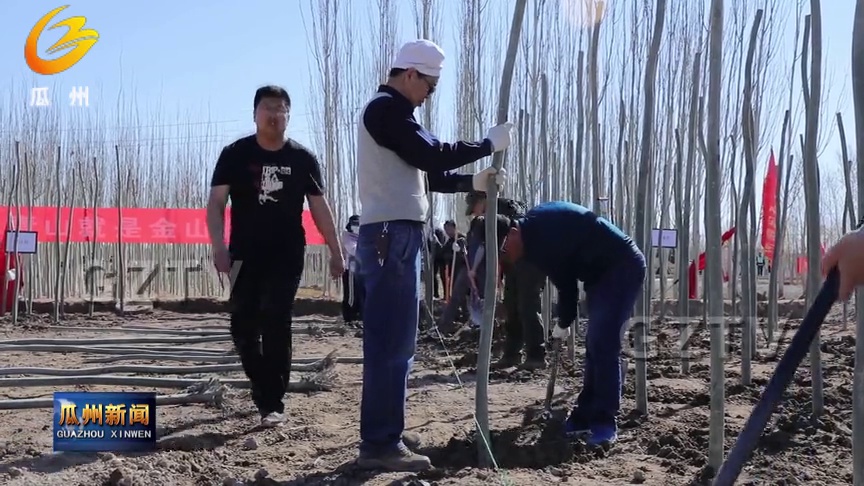 [图]走,我们植树去!瓜州县掀起新一轮全民义务植树热潮