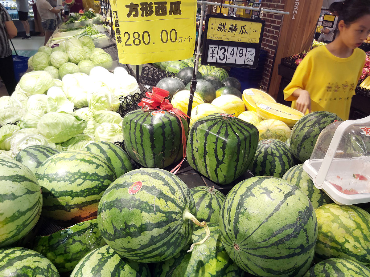 西瓜冬瓜南瓜和北瓜以及咸菜想要去古代贩卖东西他们遇到了一点点困难
