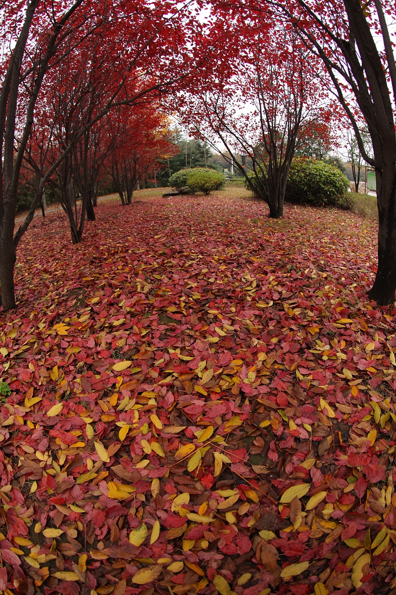 河南雨后女子拜天引热议，网友：是虔诚还是戏精？