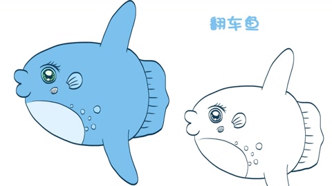 简笔画大全,翻车鱼