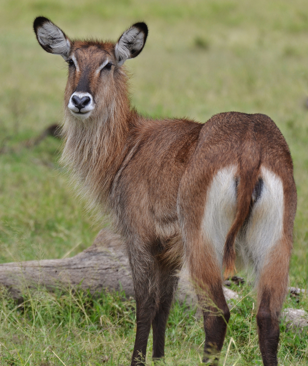 抖音的地址定位是实时吗？抖音ip属地准确吗？