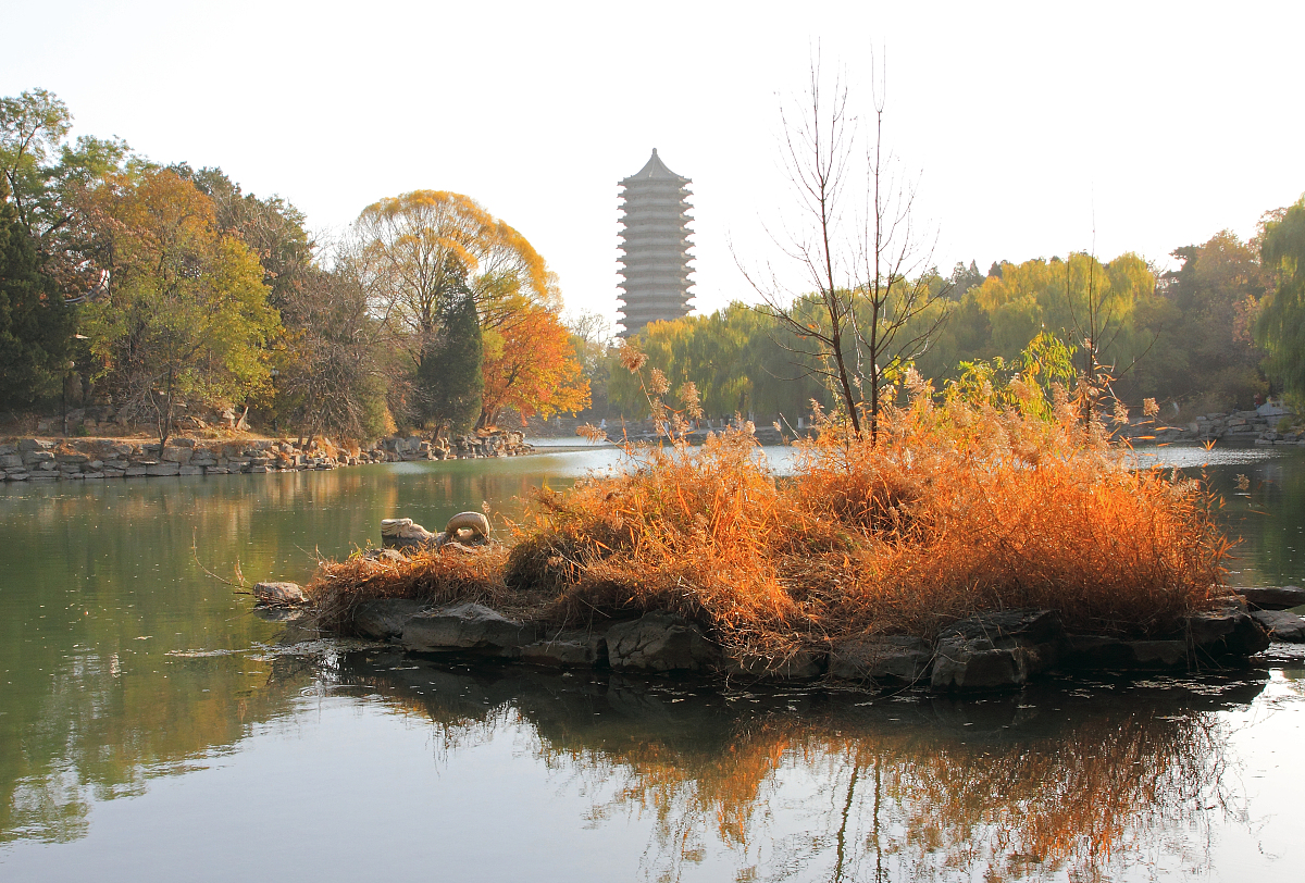 陕西省高新技术学校怎么样？好不好？