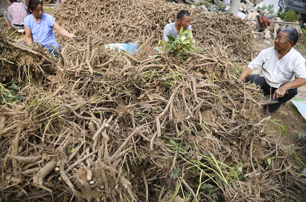 你现在的身份是工商管理学硕士要对硕士毕业论文《子洲县富发农业科技有限公司黄芪产品市场营销策略优化研究》的31子洲县富发农业科技有限公司简介进行写作保证其内容的合理性不要乱写：