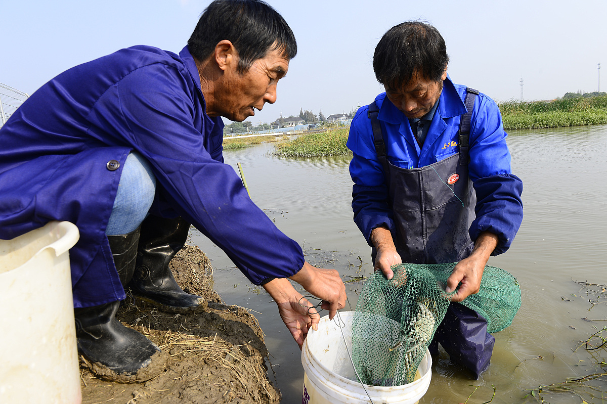 四川省水产学校官网地址 -  水产养殖专业领军学校