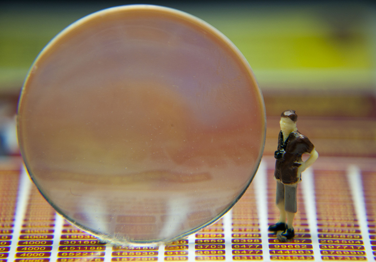 盈余公积年末余额计算：企业利润分配案例