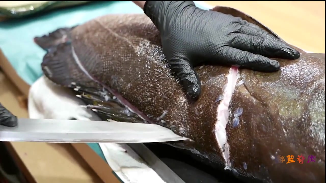 河豚的美味是众所周知的,比它更美味的鱼你见过吗?