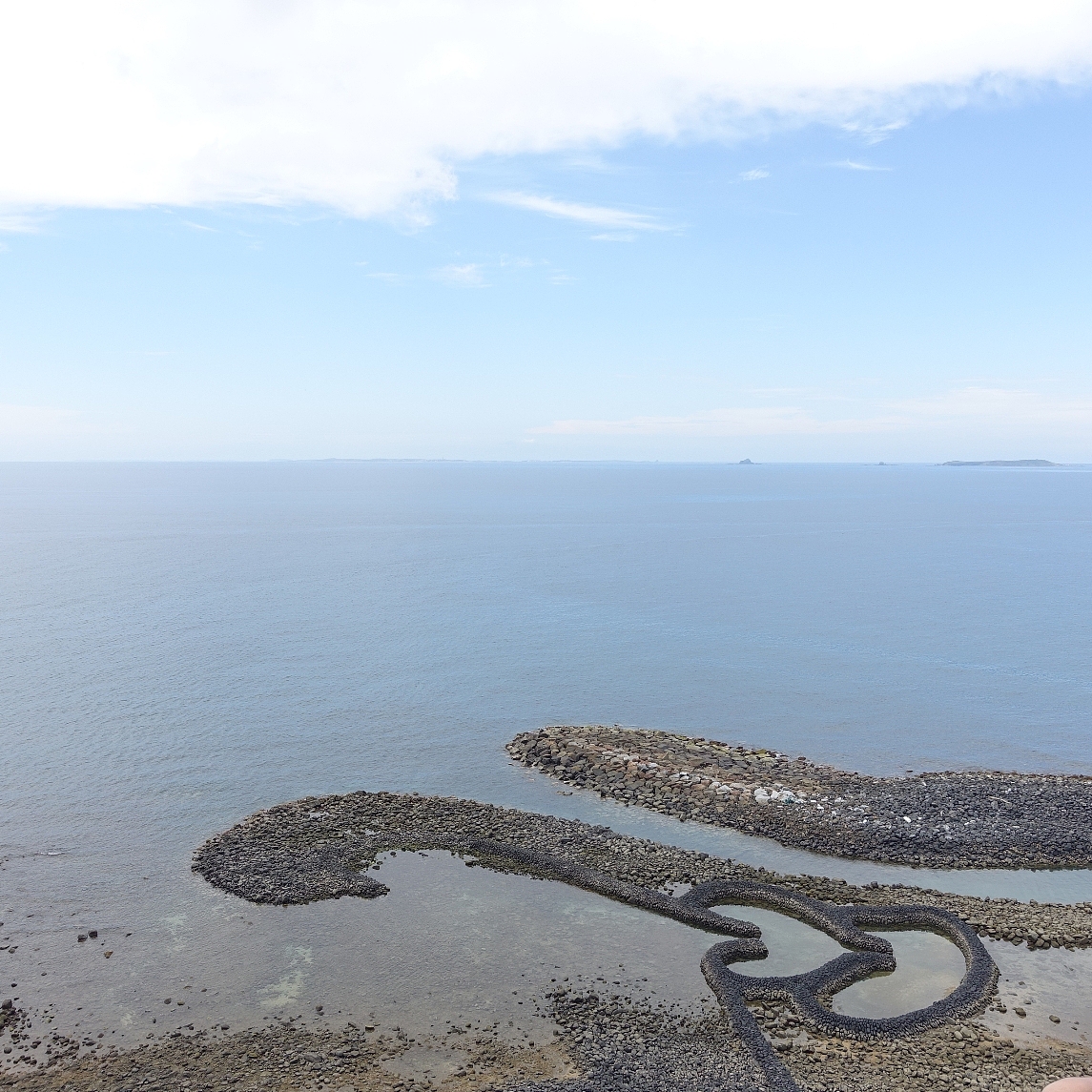 音乐家与设计师的浪漫爱情故事：真爱战胜一切