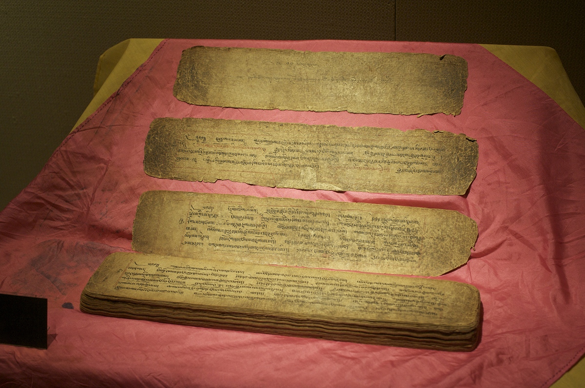 藏医学专业课程学习指南：从基础到临床，全面掌握藏医知识