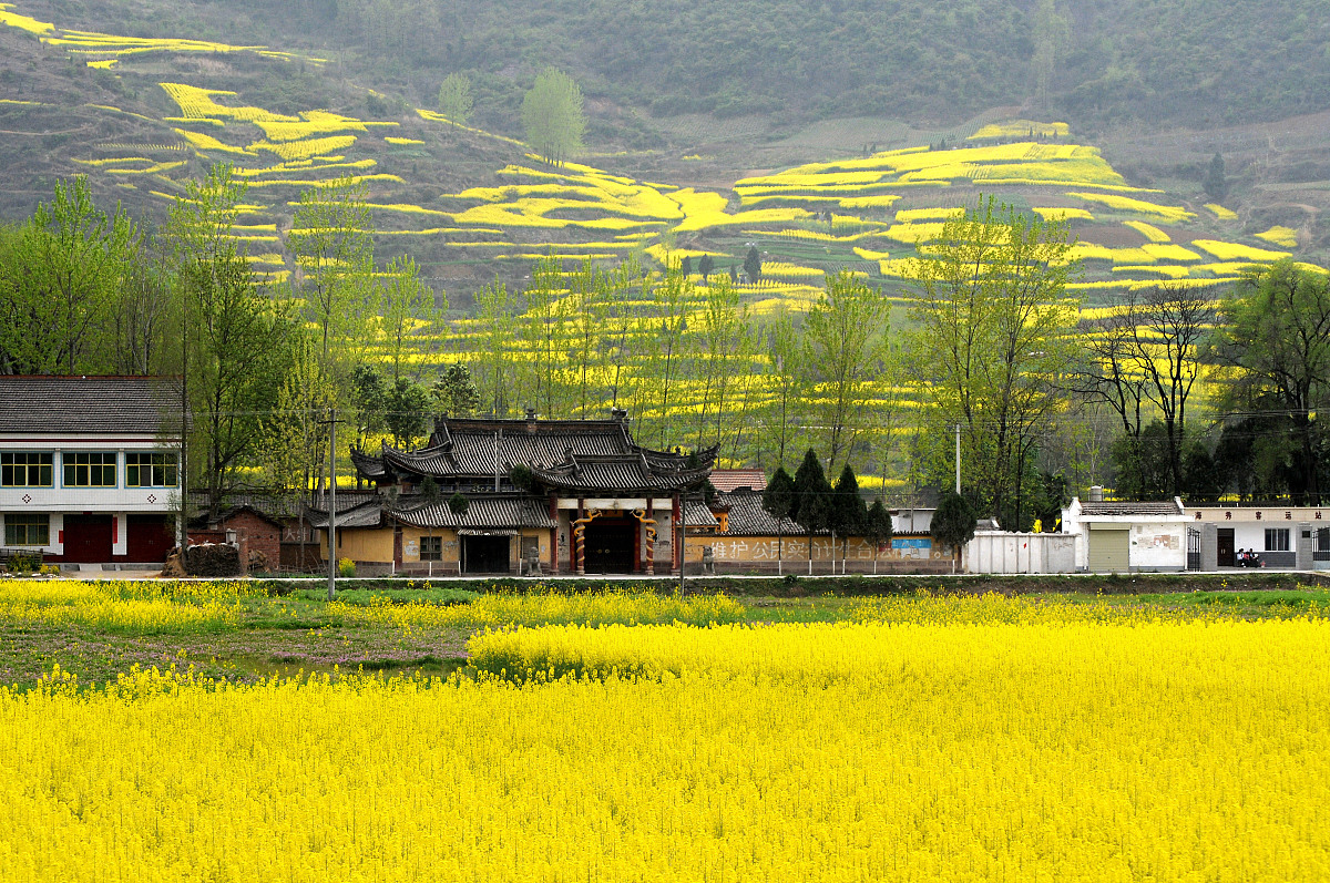 云南曲靖农校2019年五年制大专招生信息